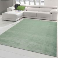 SONDERPREIS🔥 Teppich Wohnzimmer XXXL 240x340 Pastellgrün