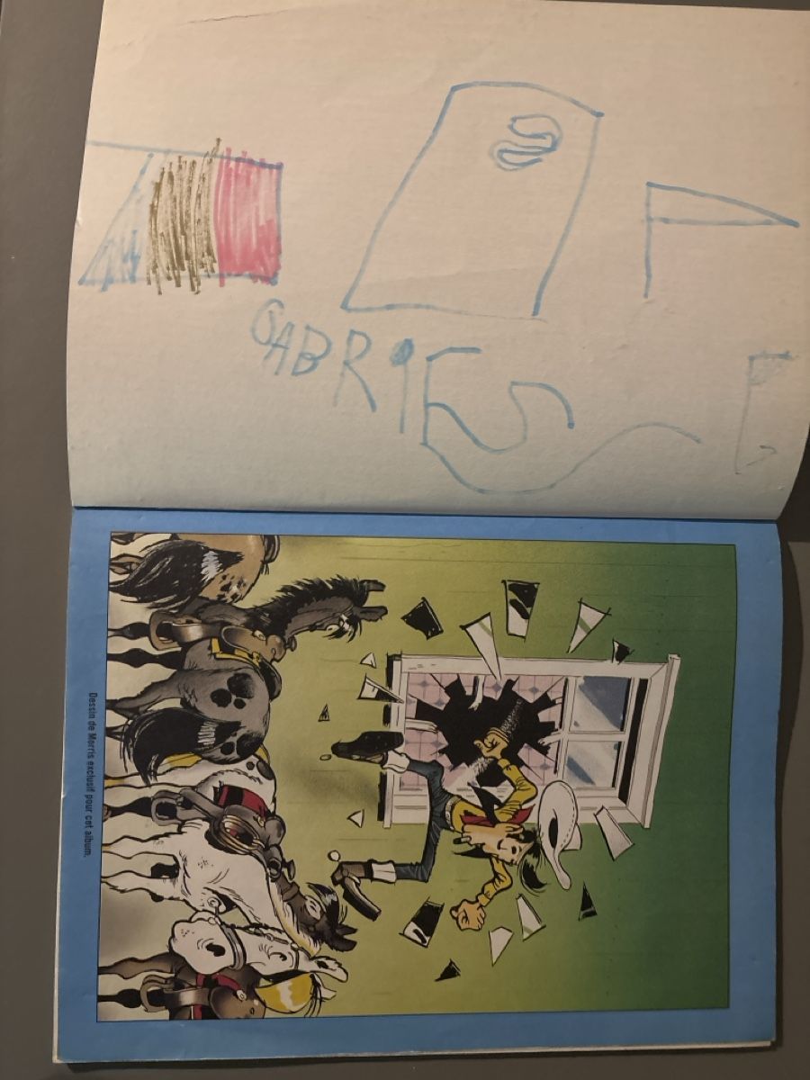 Fumetti: Bande dessinée Lucky Luke Canyon Apache utilisée – Usato da Lamboing venduto da Emilien_FR_DE 2