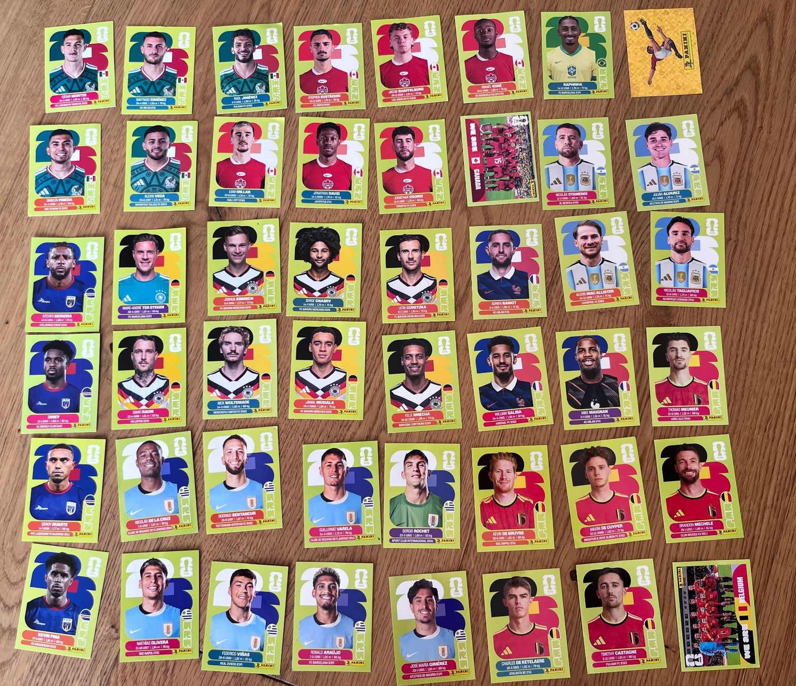 Panini Carte collezionabili: Paninis – Nuovo (secondo la descrizione) da Ammerswil AG venduto da LaClau
