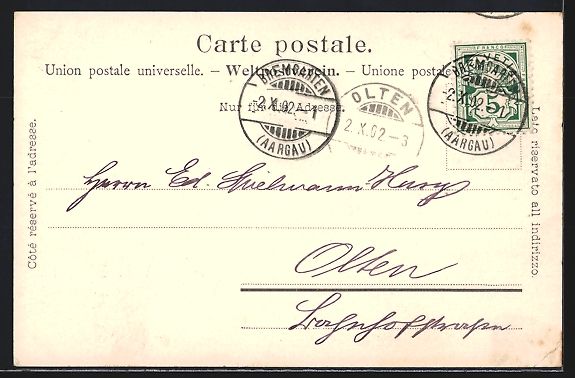 Cartes postales: Bremgarten /AG, Ortspanorama vom Wasser  – D'occasion à Berlin par bartko-reher 1