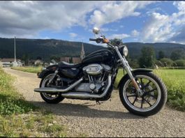 Harley Davidson XL883L