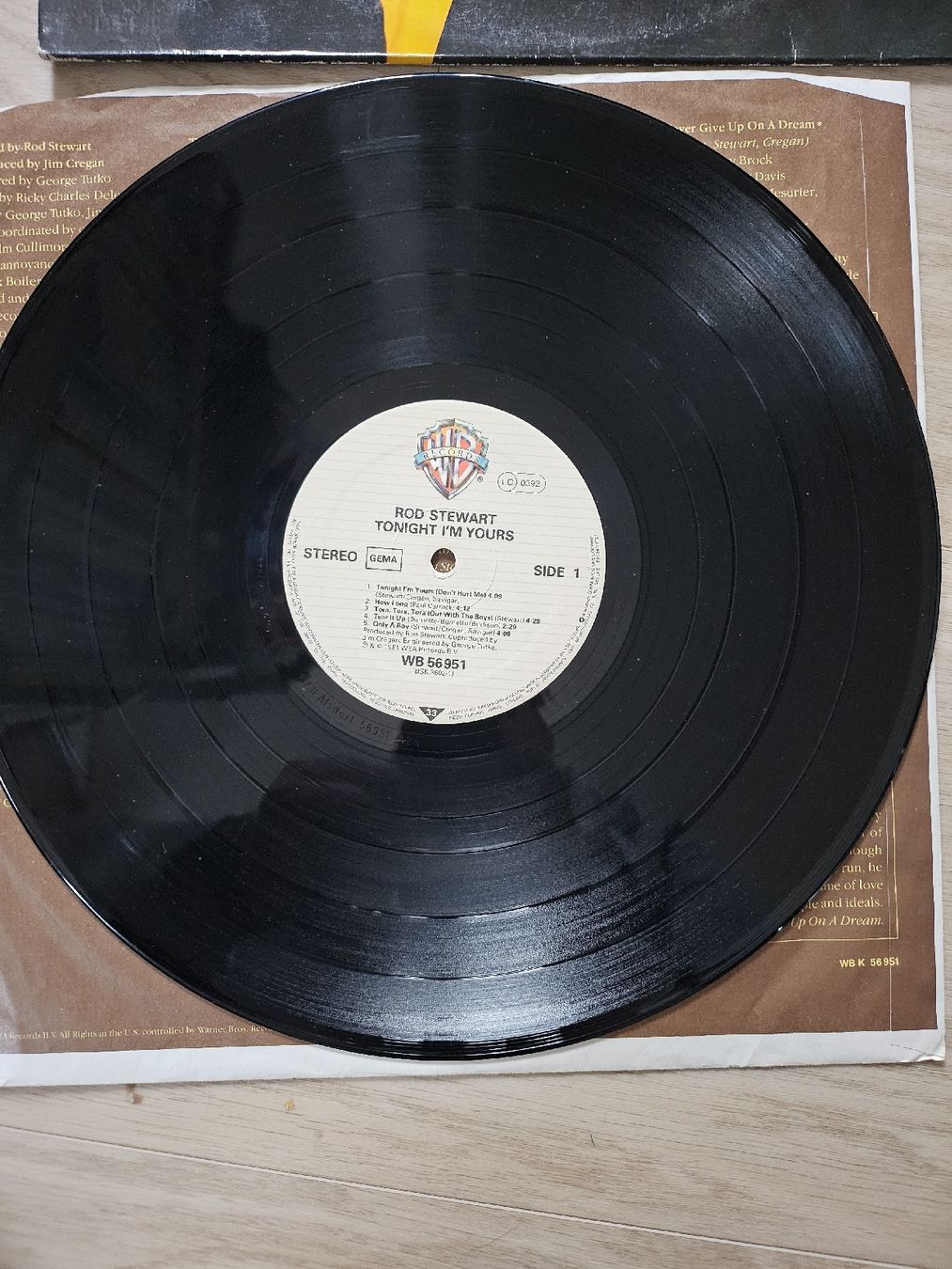 Dischi in vinile: Vinyle Rod Stewart - Tonight I'm Yours – Usato da La Joux FR venduto da car_ck96 2