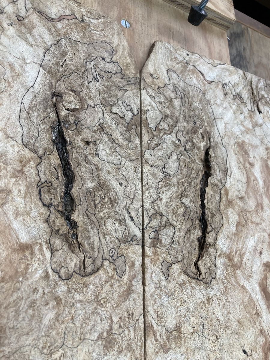 Strumenti musicali: Spalted maple amazing figured top – Nuovo (secondo la descrizione) da Minusio venduto da Bolix 4