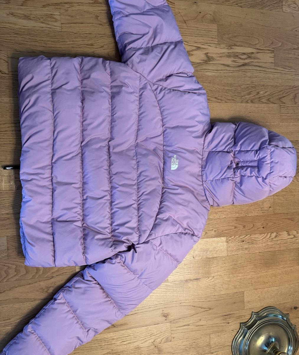 North Face Giacche: North Face Jacke – Usato da Rüegsauschachen venduto da nai_2jfm 3