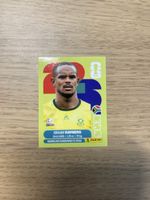 Panini FIFA WC RSA 18