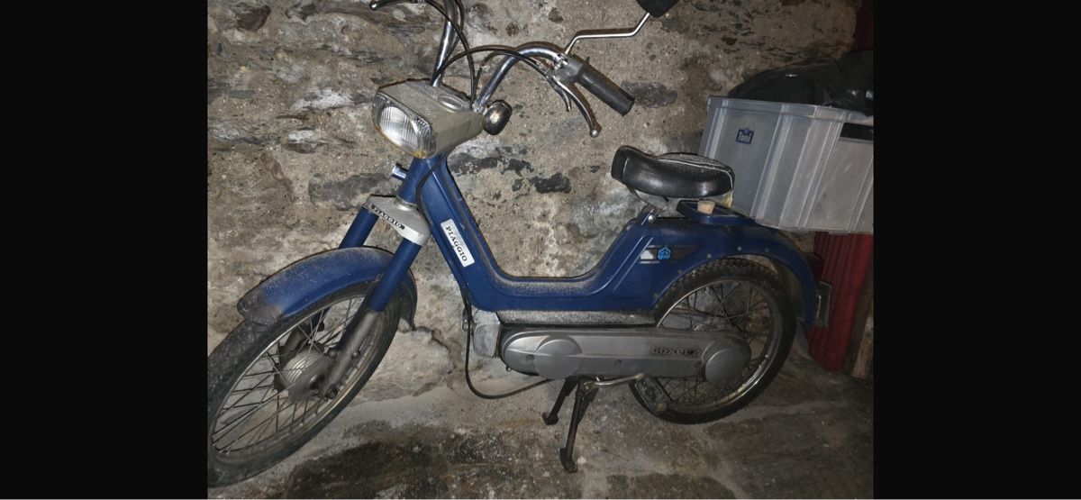 Piaggio Mofas: Piaggio Boxer – Gebraucht aus Losone von val_9rbv
