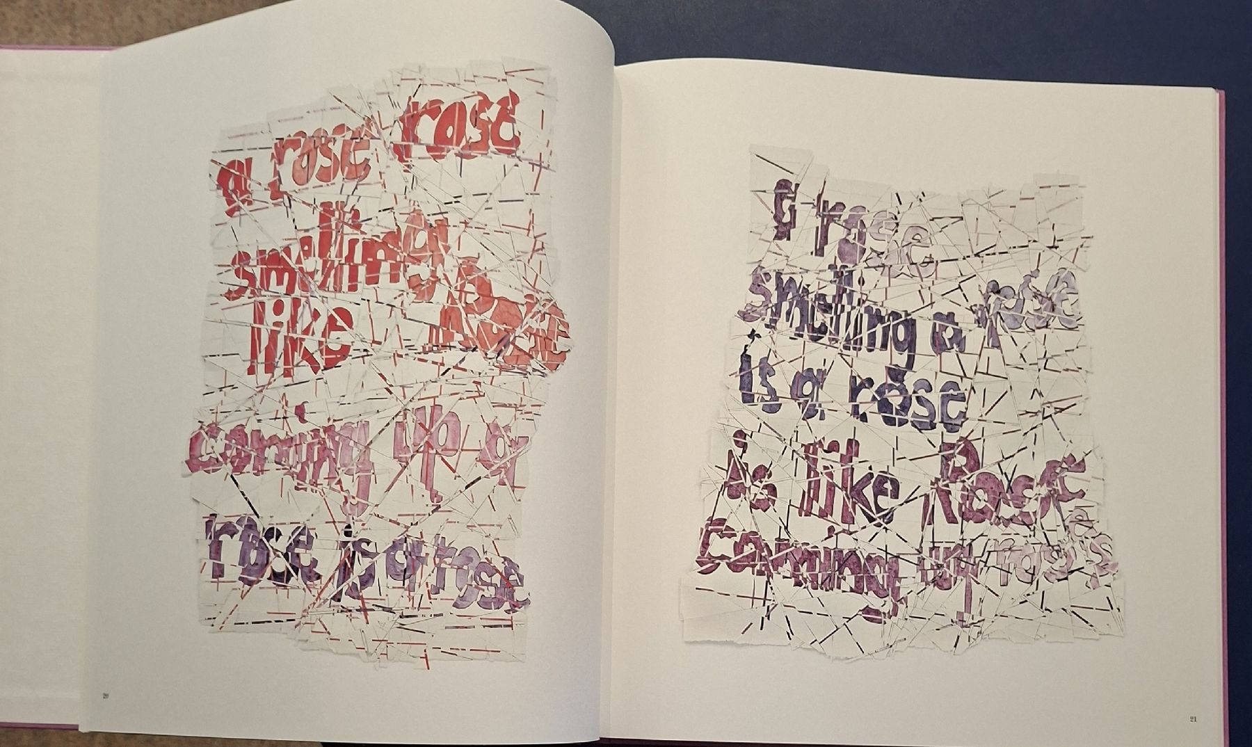 Livres: Roni Horn "Th Rose Prblm" Bildband Steidl 2015 – Neuf (Voir description) à Niederglatt ZH par Siegfried67 6