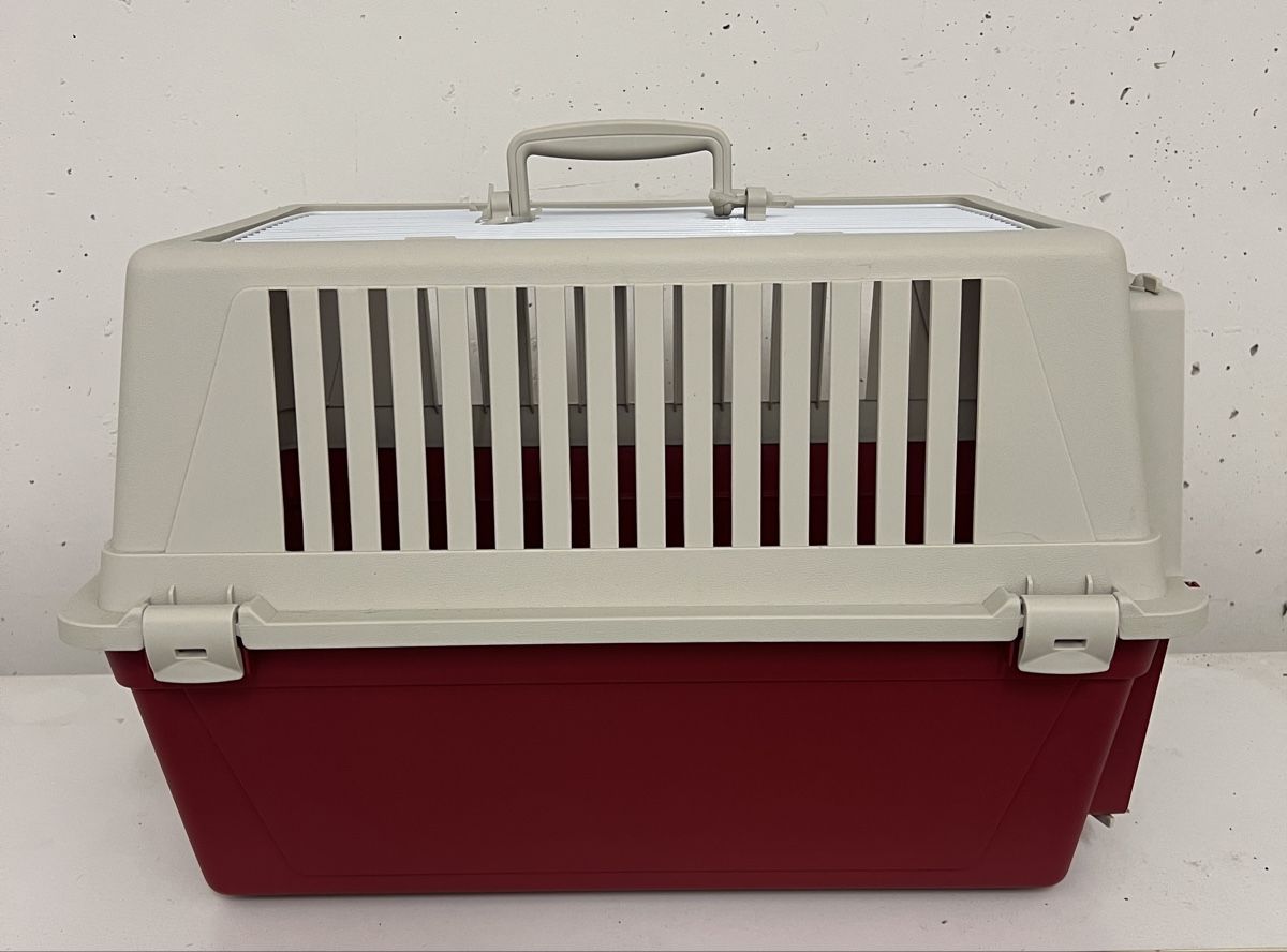 Käfige, Transport & Sicherheit: Transportbox für Tiere – Gebraucht aus Büttikon AG von Jahacymipa.01