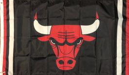 Chicago Bulls Fahne Jordan Basketball Air NBA Rodman Grant
