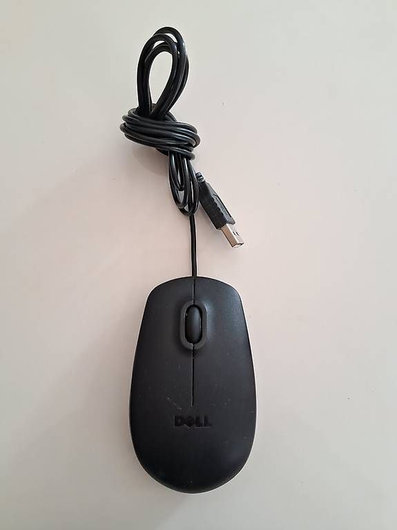 Dell Tastiere: Kabellose Dell Tastatur + Maus – Usato da Wettingen venduto da elv_khg5 2