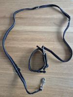 Redoggo Hunde-Leine und Halsband