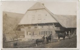 LANDWIRTSCHAFT/BAUERNFAMILIE 1920 mit Pferd BE?