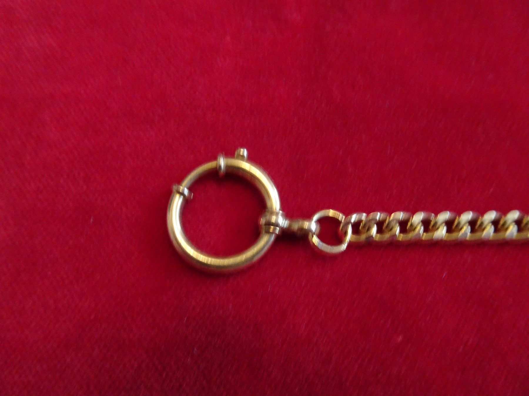 Altri accessori per orologi: Taschenuhrenkette – Usato da St.Gallen venduto da Diva021 2