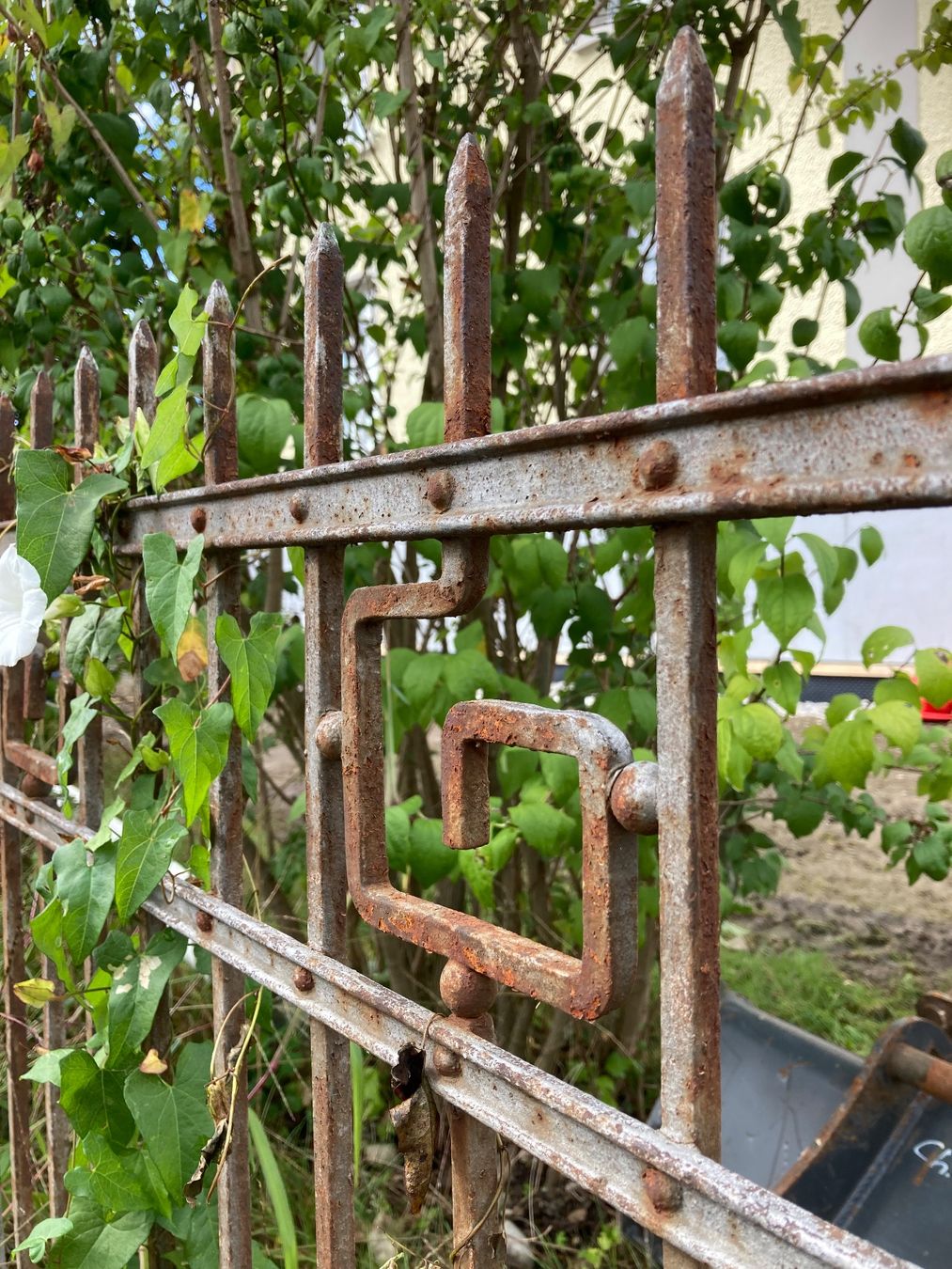 Fendivista: Gartenzaun schmiedeeisen – Usato da Oberbussnang venduto da Schmiede_herzog 1