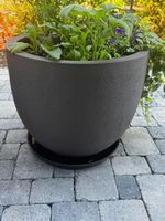 Blumentopf klein