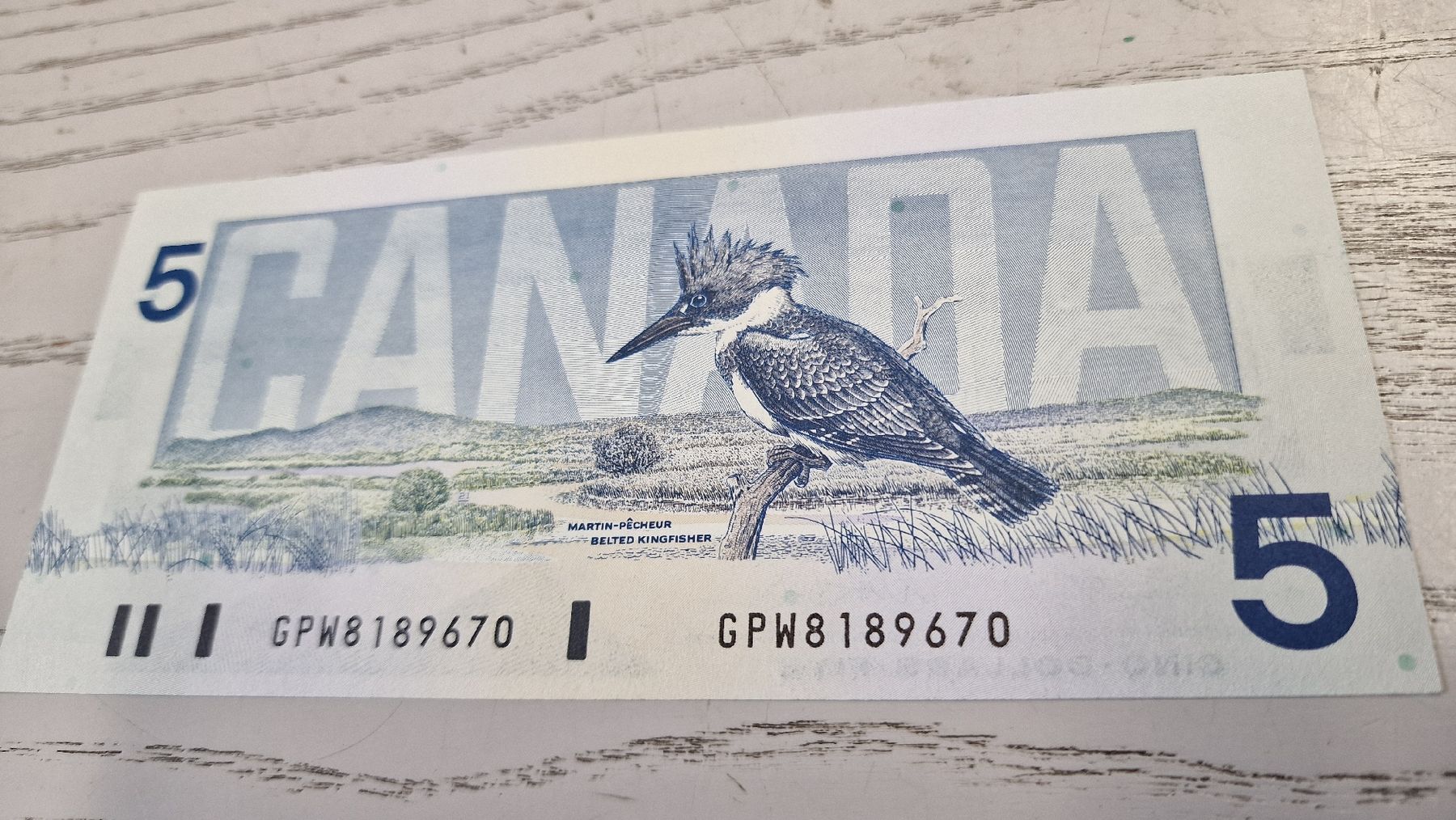 Banconote: Kanada 5 Dollar Banknote Ottowa 1986  – Nuovo e nell'imballaggio originale da Herisau venduto da Antiques.AR 1