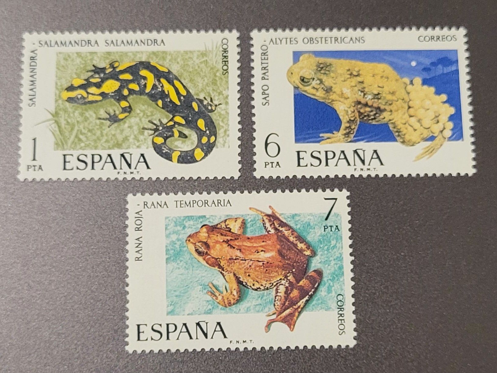 Tutti i francobolli: Spanien 1975 satz briefmarke ** – Nuovo (secondo la descrizione) da St Gallen venduto da Stampsalshobby