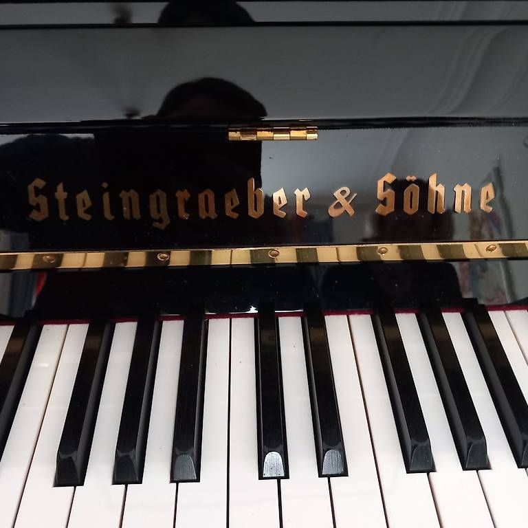 Instruments de musique: Steingraeber & Söhne T122 – D'occasion à Bern par Heutschipiano
