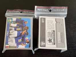Panini 2020, Set a 100 Sticker