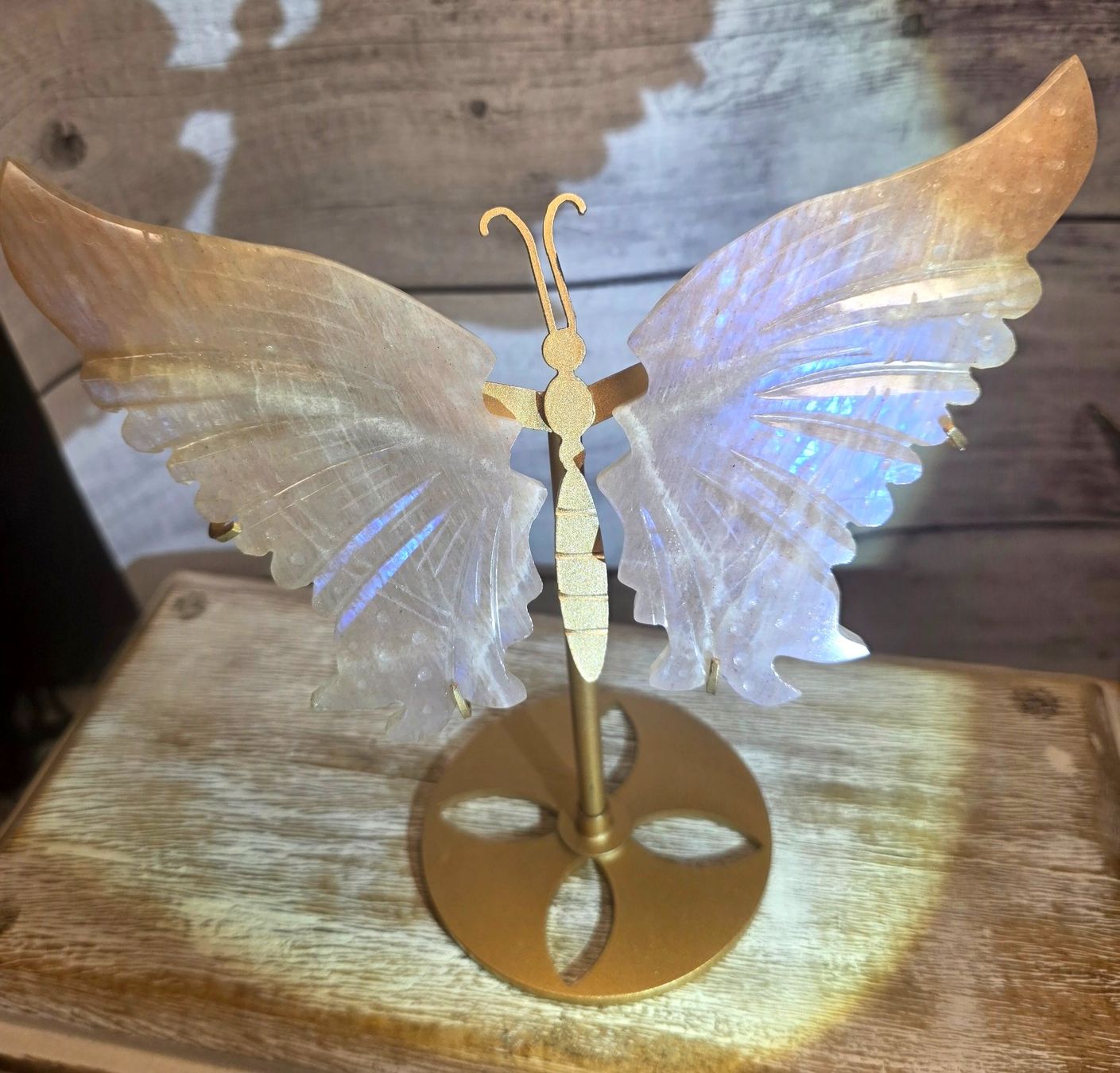 Minerali & Pietre curative: Mondstein Schmetterling – Nuovo e nell'imballaggio originale da Matzingen venduto da Shay_Crystalz