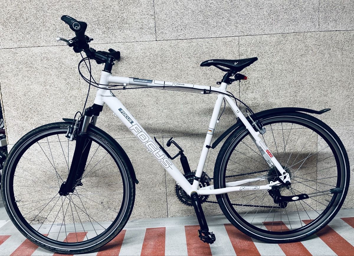 Focus Biciclette: Focus Velo XL – Usato da Zürich venduto da Bidon3011 8