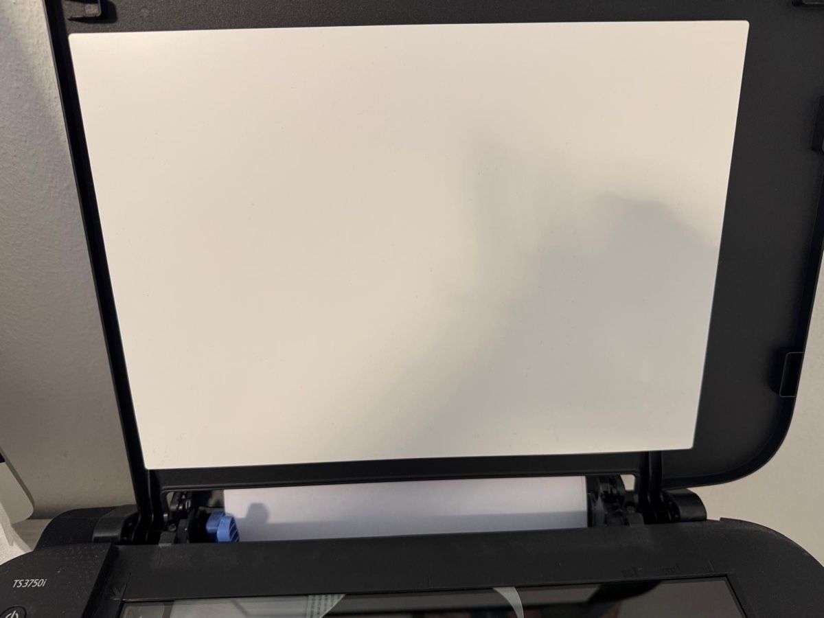 Stampanti: Canon PIXMA TS3750i Drucker ! – Usato da Hochdorf venduto da SalvoAnto 3