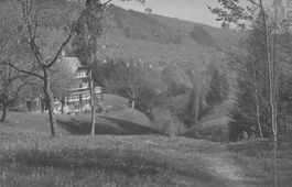 Appenzeller Bilder Häuser