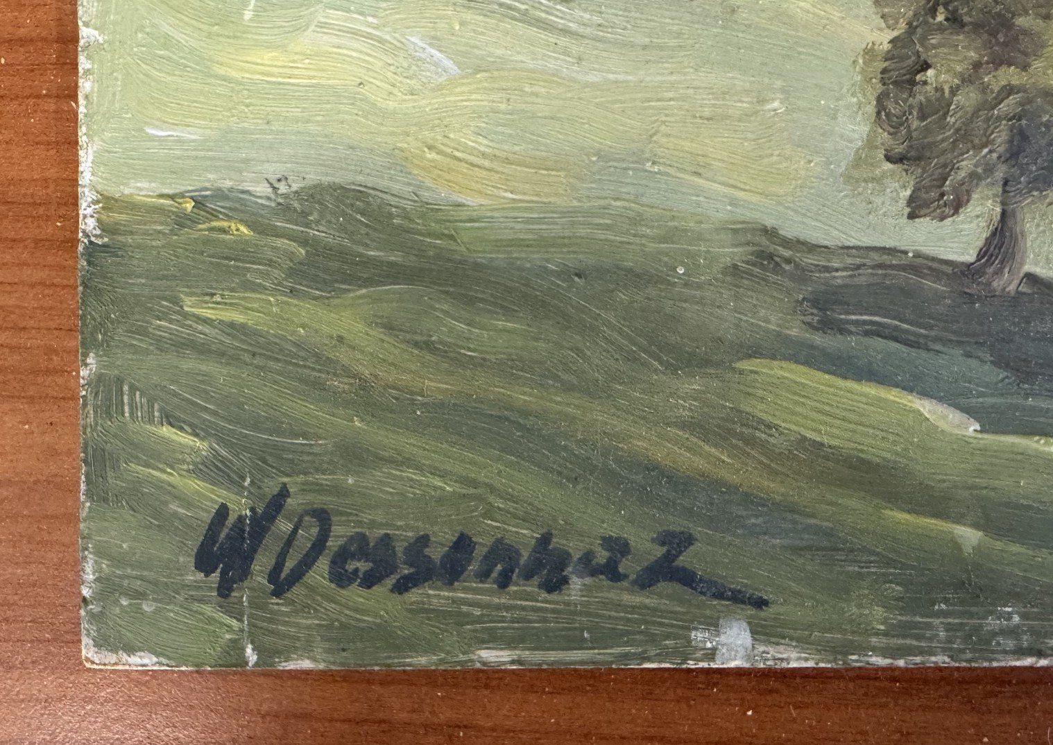 Dipinti: Tableaux W. Dessonnaz – Usato da Satigny venduto da rob_6zj8 5