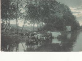 Künstlerkarte Thun - Luzern, Poste rest. nicht abgeholt 1907
