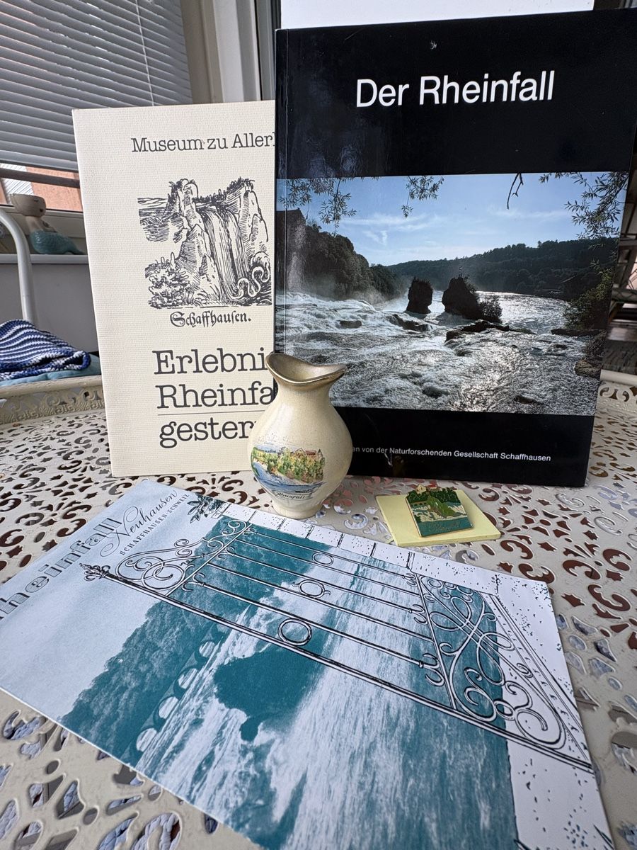 Documenti: Souvenirs von Rheinfall – Usato da Schaffhausen venduto da Reporter