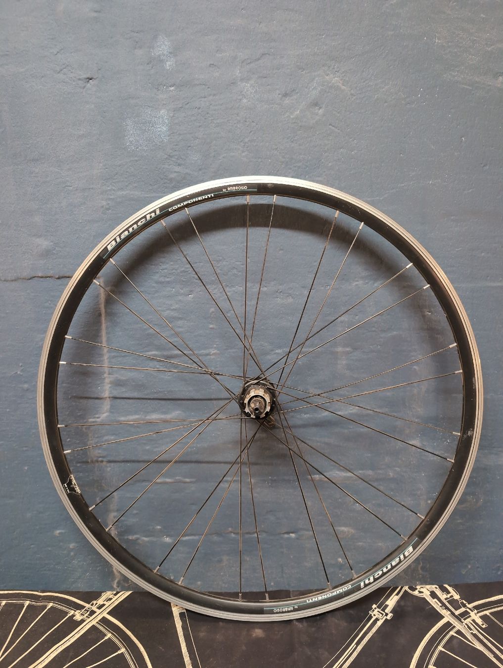 Campagnolo Pezzi di ricambio: Bianchi Hinterrad Campagnolo HG – Usato da Zürich venduto da Jonatan67
