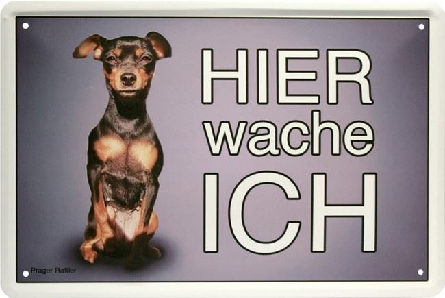 Schilder: Blechschild-PRAGER RATTLER-HIER WACHE ICH – Neu und originalverpackt aus Rupperswil von big-one-sale