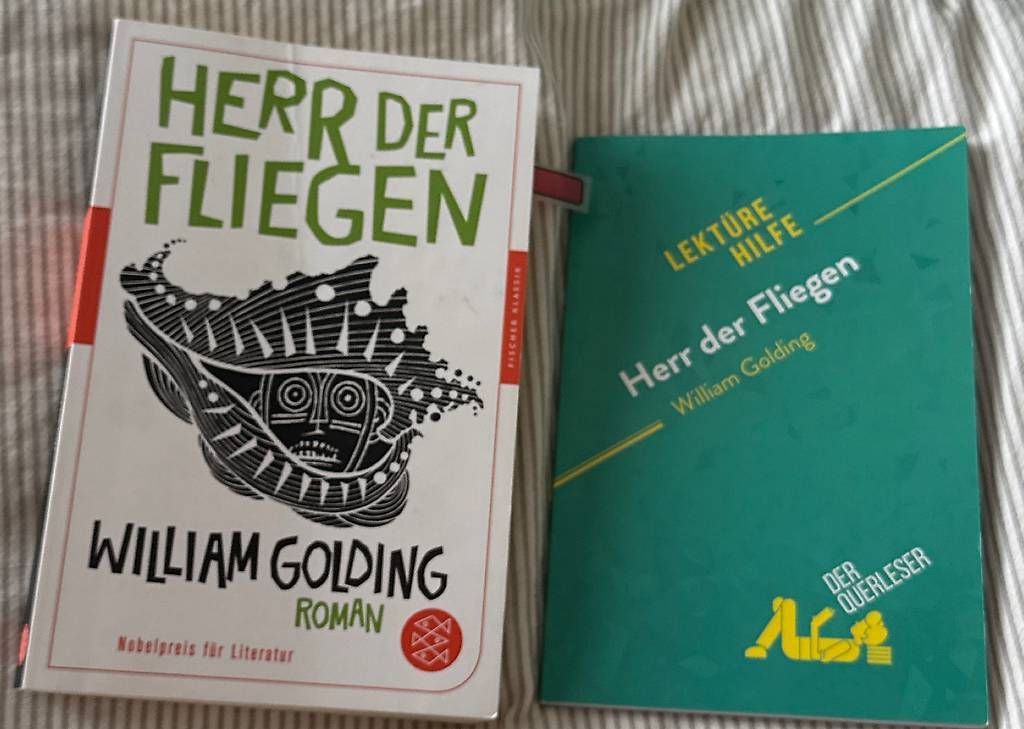 Libri: Herr der Fliegen mit Lektüre Hilfe – Usato da Kirchdorf BE venduto da lyn_5j7y