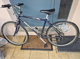 Velo adulte Giant