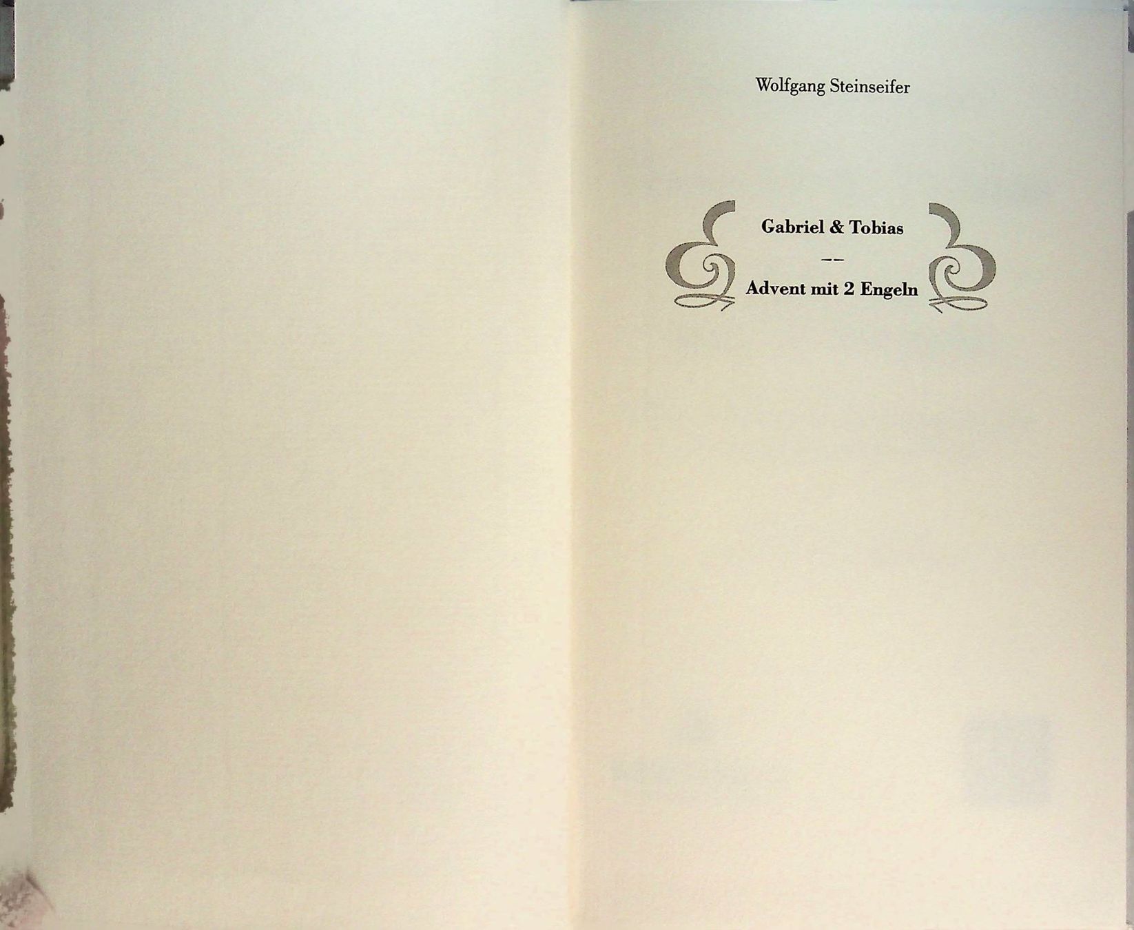 Libri: W. Steinseifer Gabriel & Tobias , Advent mit 2 Engeln – Usato da Reitnau venduto da Zaomir 2