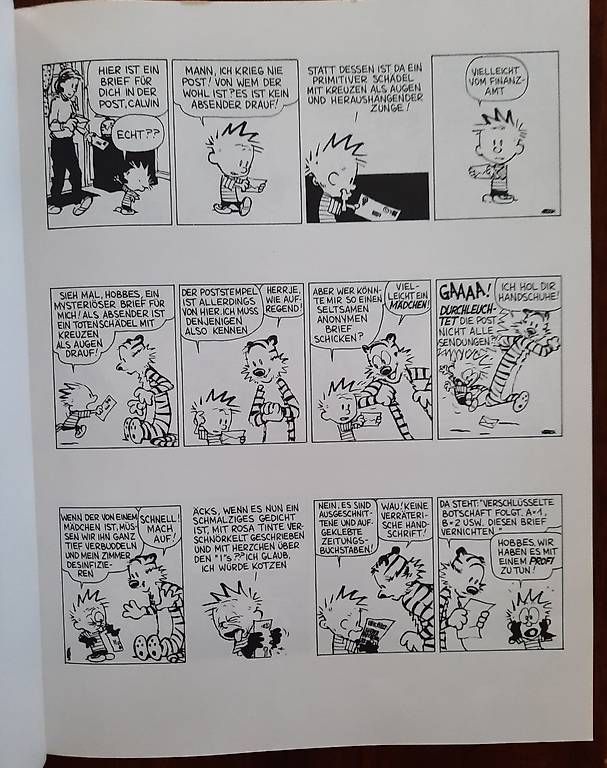 Fumetti: Calvine & Hobbes 14. Album – Usato da Wallisellen venduto da denisepe 3