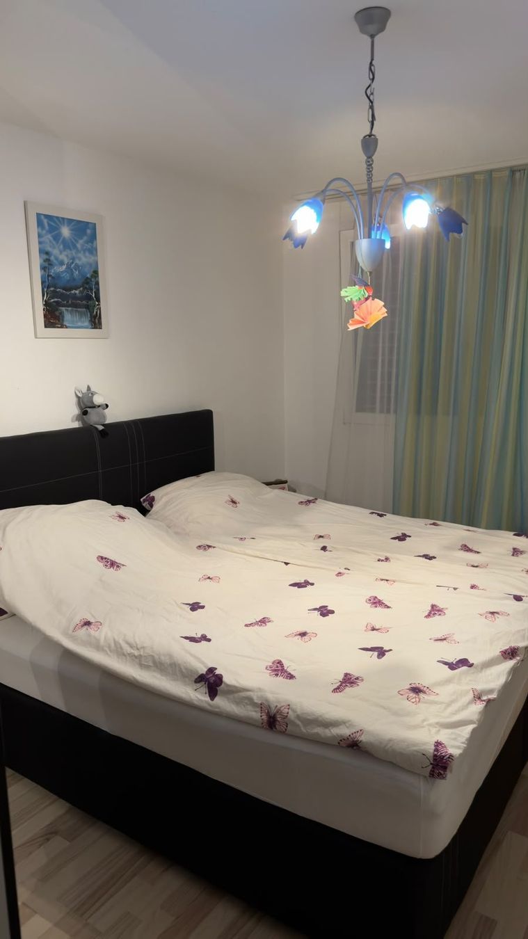 Letti: Boxspring Bett – Usato da Au ZH venduto da bpu_sp7d