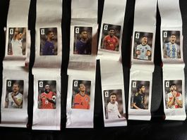Alle 12 Panini Cola 26 WM Fussball Stickers