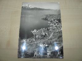 AK Weggis Gesamtansicht - Ansichtskarte Postkarte