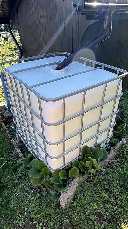 Conteneurs de construction: IBC - Container 1000l Wassertank – D'occasion à Winterthur par dav_p6ll 1