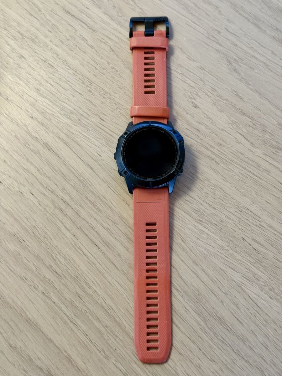 Garmin Smartwatch: Garmin Fenix 6X Pro 51mm – Usato da Morges venduto da markman007 2