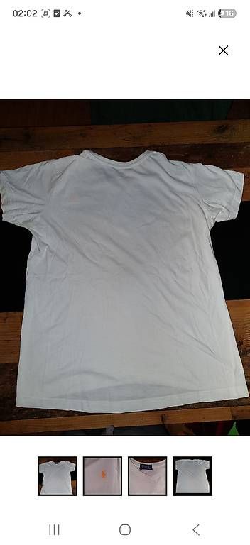 T-shirt: polo Ralph Lauren T-Shirt – Usato da Enggistein venduto da sar_b8hz