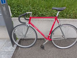 Specialized Langster 2010 (fixie / single speed) Size 58