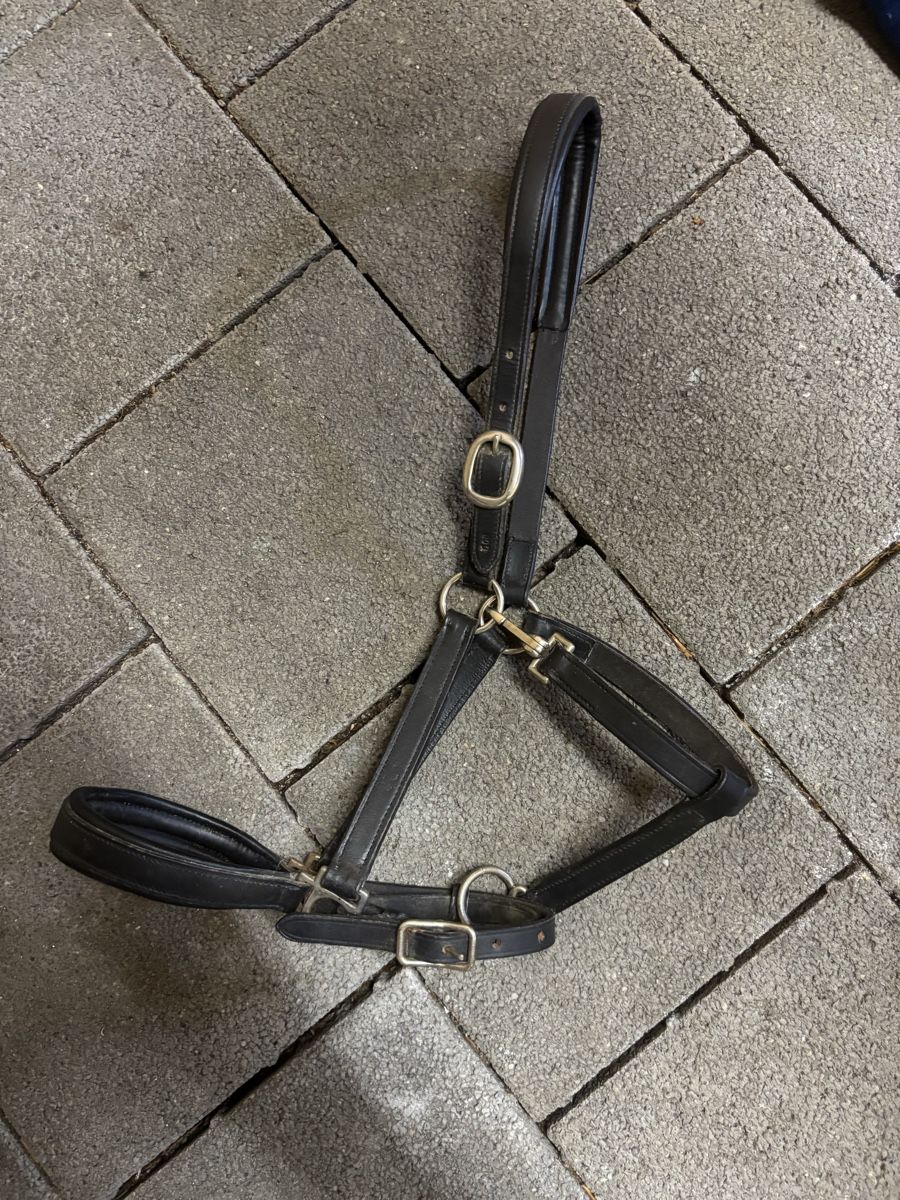 Briglie & Cavezze: Lederhalfter Grösse Pony – Usato da Möriken AG venduto da Jamas76