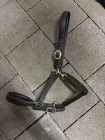 Lederhalfter Grösse Pony