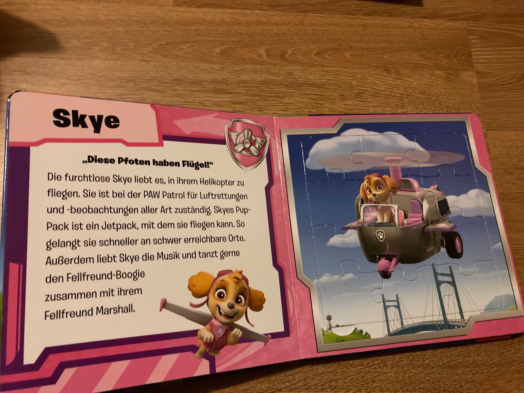 Puzzle: Paw Patrol Puzzle Buch – Usato da Emmenbrücke venduto da JJ_89 2