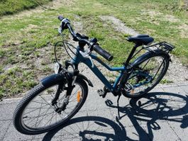 Mustang Appaloosa 24 Trekking-/Citybike, sehr guter Zustand