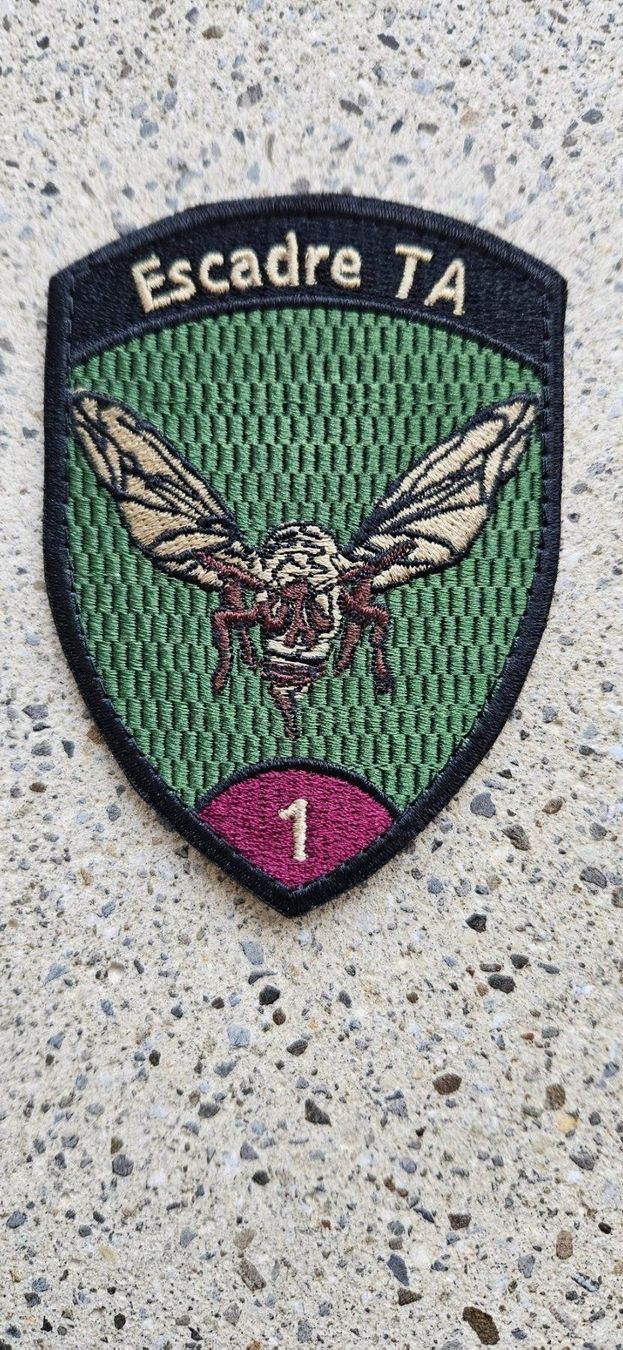 Schweizer Armee Placchette & Badge: *** Badge Luftwaffe mit klett *** – Nuovo (secondo la descrizione) da Riedholz venduto da fr_sIruP