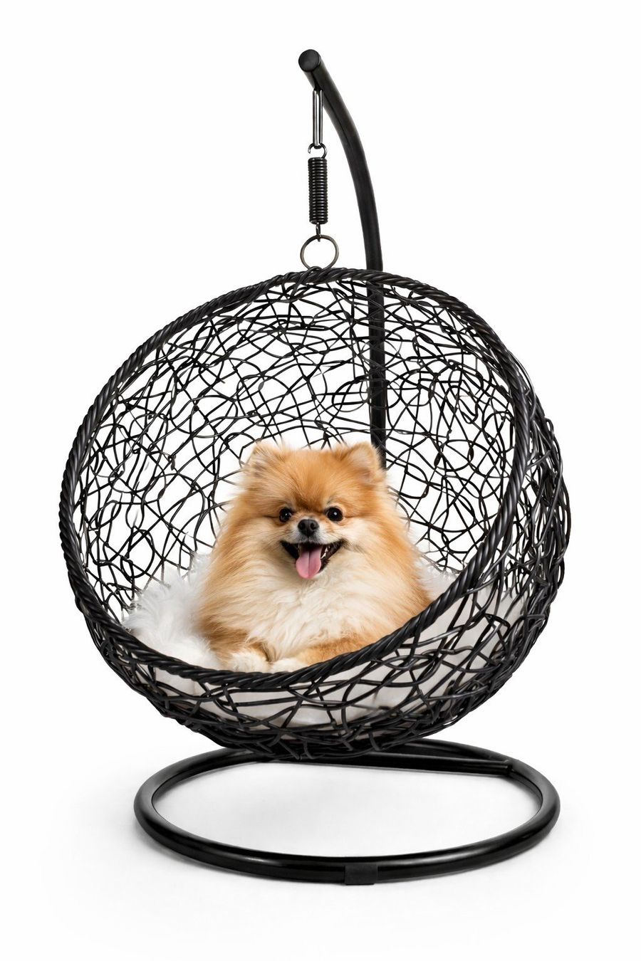 Liege- & Schlafplätze: Katzen / Hundehängesessel, Katzenkorb, Katzenschaukel – Neu und originalverpackt aus Kottwil von Crazyrolf 2