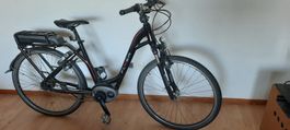 Flyer E Bike